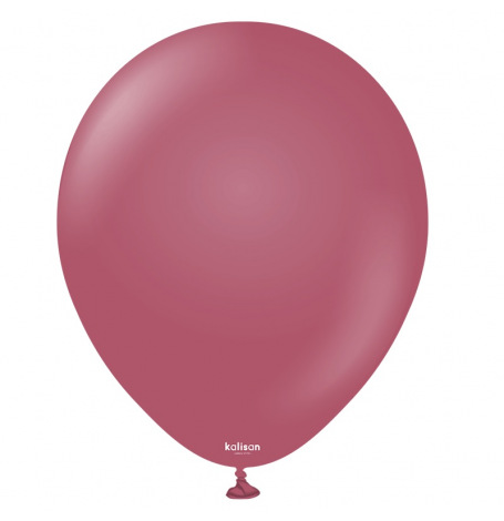 5 Ballons de baudruche biodgradable Prune 