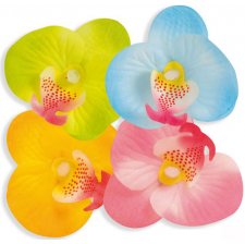 Pétales Fleur Table Hawai (x20)