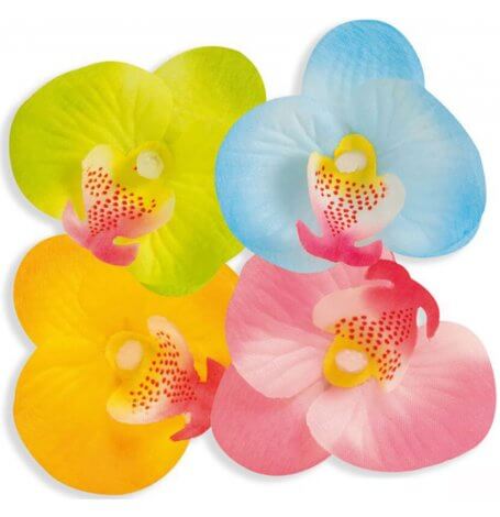 Pétales Fleur Table Hawai (x20)| Hollyparty