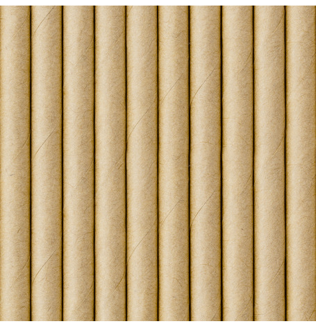 Pailles Biodégradable Papier Kraft (x10)| Hollyparty