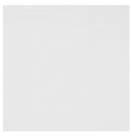 Serviettes en papier Eco Intissé Blanc (x25)| Hollyparty