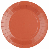 Assiettes biodégradable Terracotta (x10)