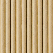Pailles Biodégradable Papier Kraft (x10)