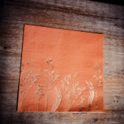Serviettes en papier Pampa Terracotta (x16)