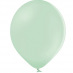 5 Ballons de baudruche Biodgradable Vert Sauge 